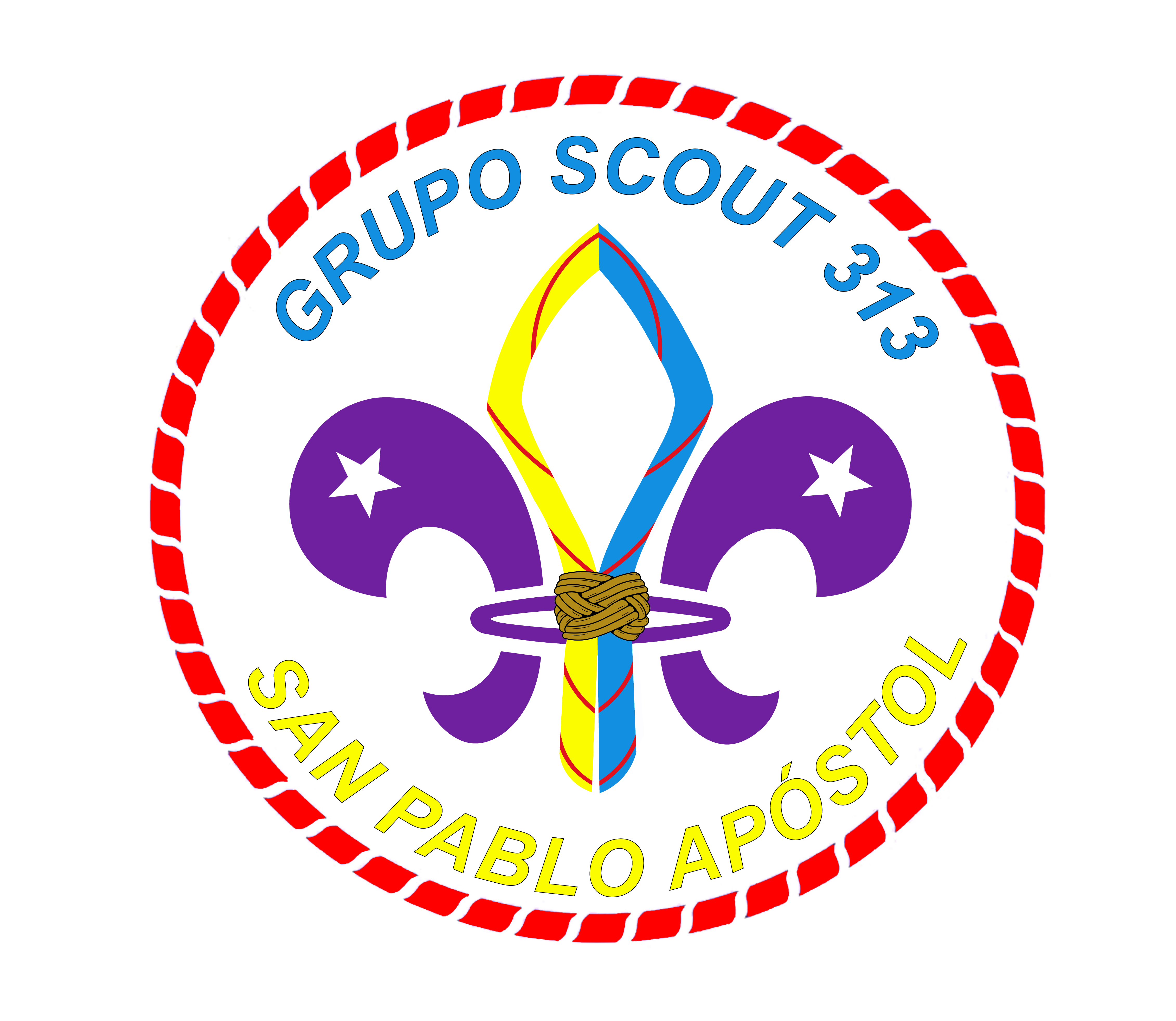 Logo Grupo 313